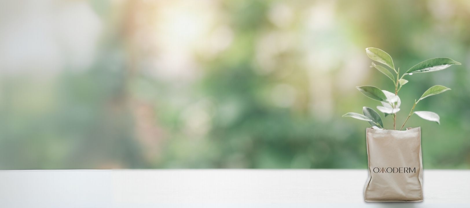 baner sostenibilidad